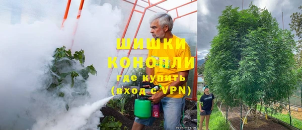 винт Армянск